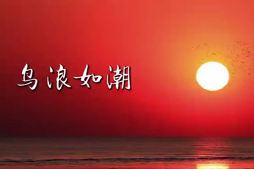 鸟浪奇观